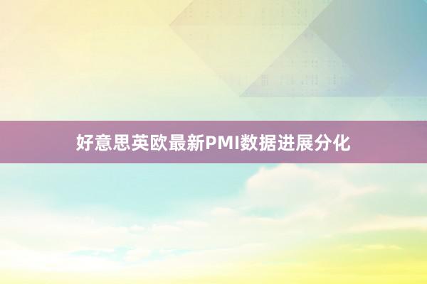 好意思英欧最新PMI数据进展分化